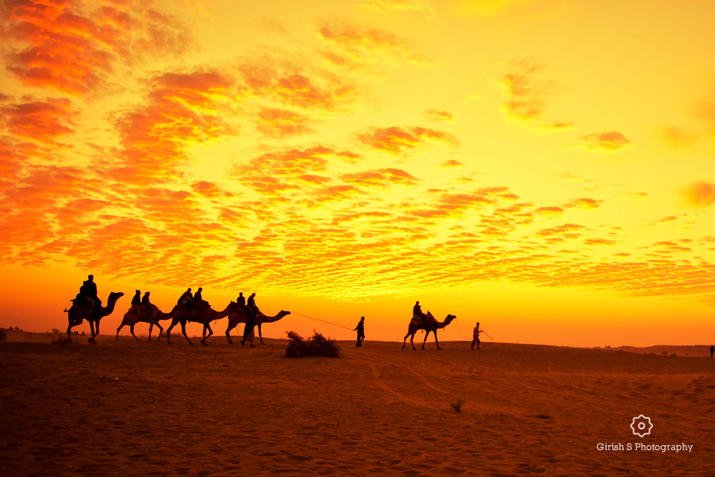 Camel safari in Jaisalmer